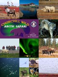 Churchill Wild's Arctic Safari - Wilderness Adventure Vacation - Walk with polar bears. Witness the great caribou migration. Experience arctic wildlife at its finest.